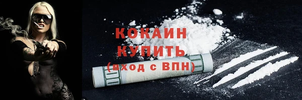 круглые Пересвет