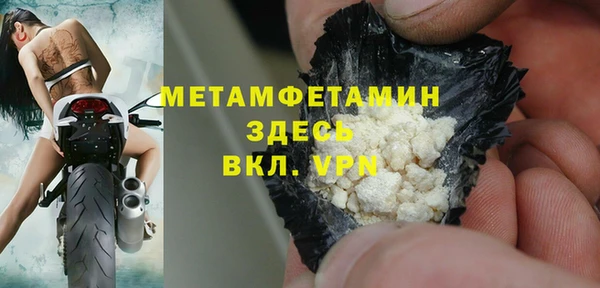 индика Калининец