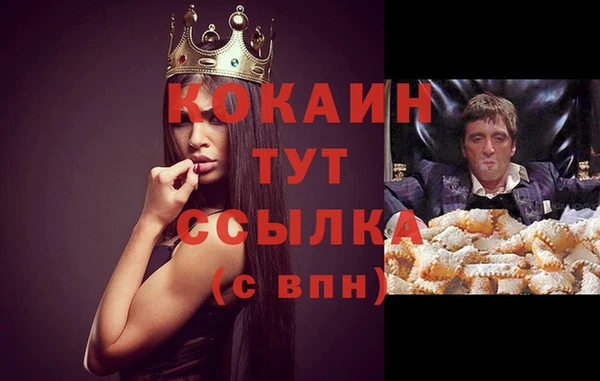 круглые Пересвет