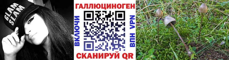OMG tor  Урус-Мартан  Галлюциногенные грибы Magic Shrooms 